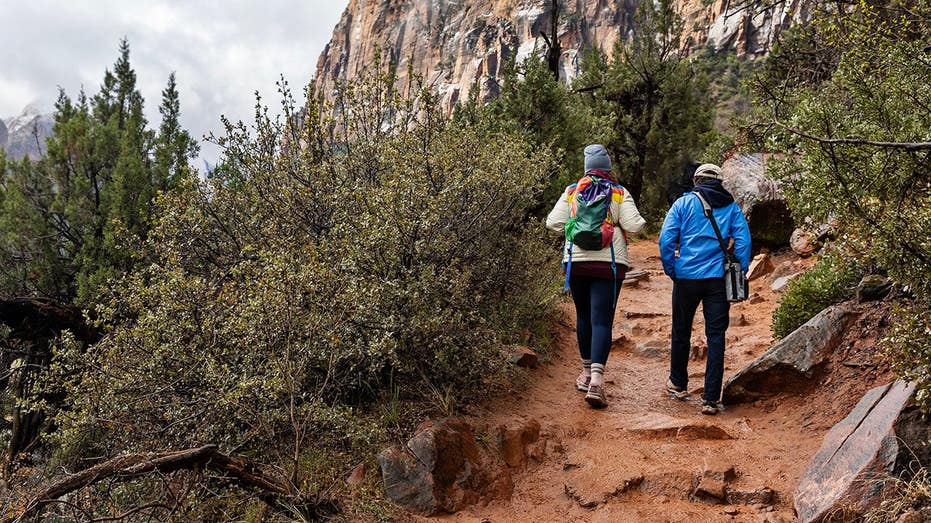 2 mystery deaths at Zion National Park prompt urgent questions about visitor safety Newcastle Accountants