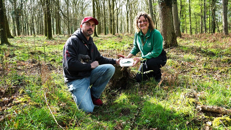 Dog walker's routine stroll turns into 'incredible' 3,000-year-old discovery in picturesque forest Newcastle Accountants